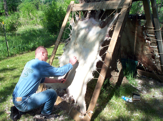 Survival Skills: Brain Tanning Hides