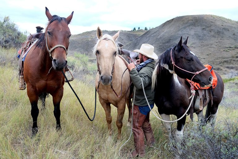hunter tending to three horses