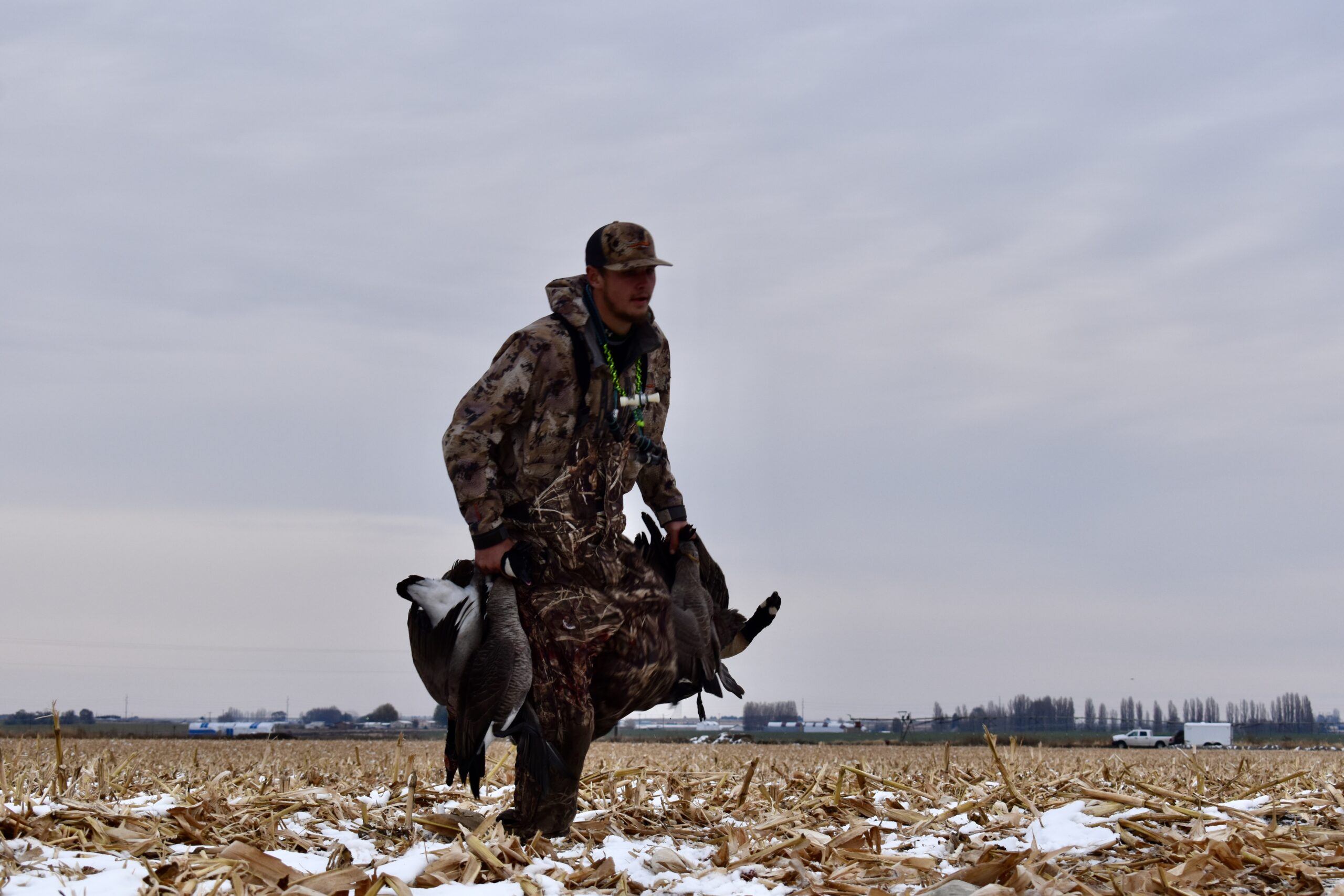 Late-season honkers are hardy birds.