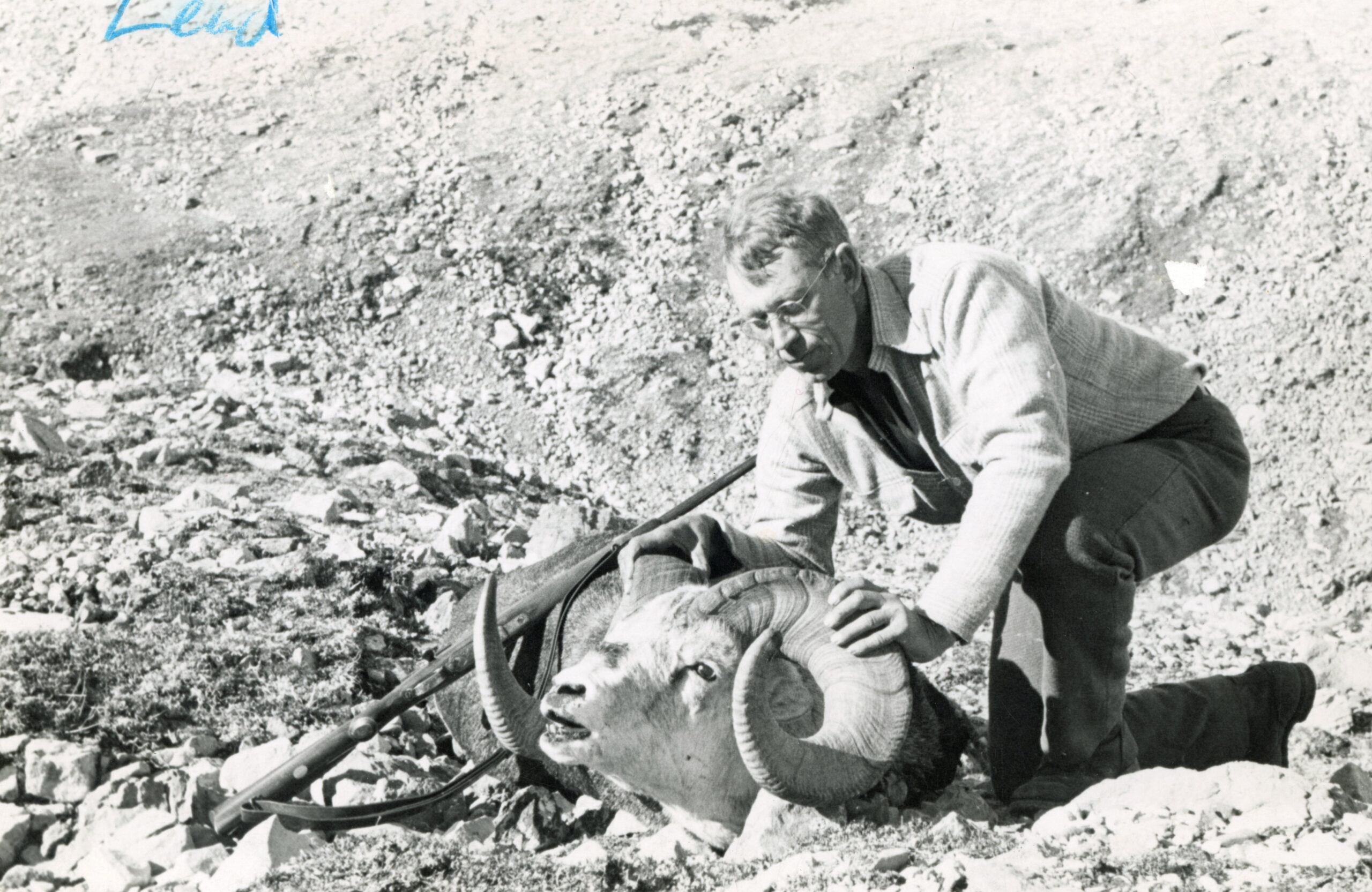 Jack OConnor sheep hunting