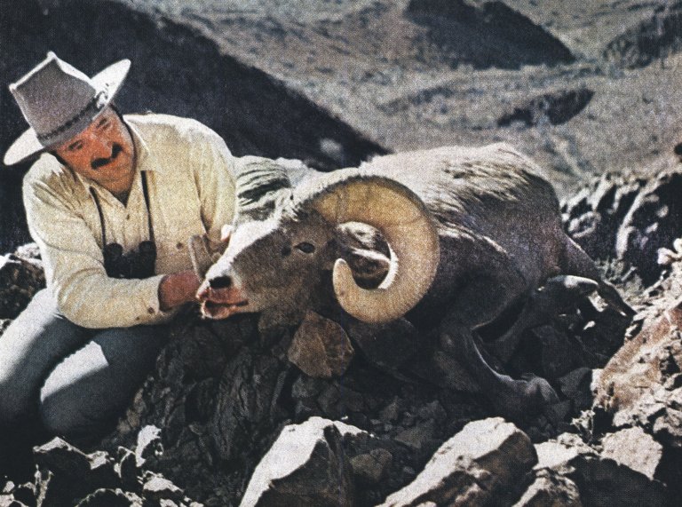 A hunter in a wide-brimmed hat kneeling behind a gray desert bighorn.