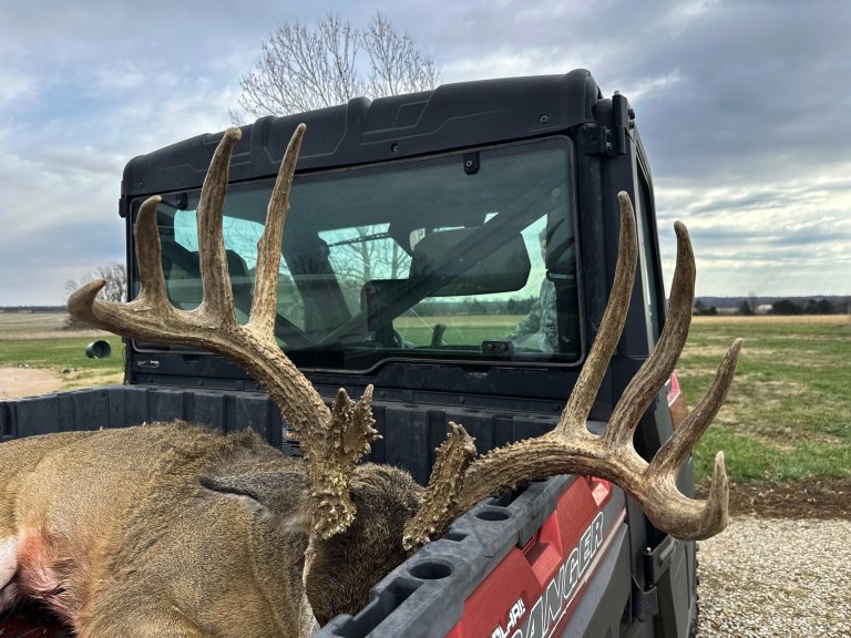 A big 10-point buck in the back of a UTV.