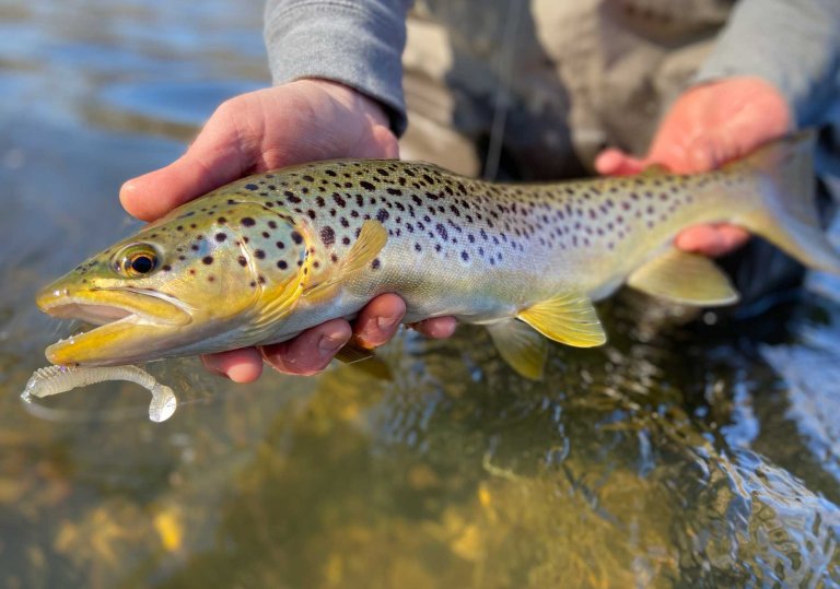 secret lures