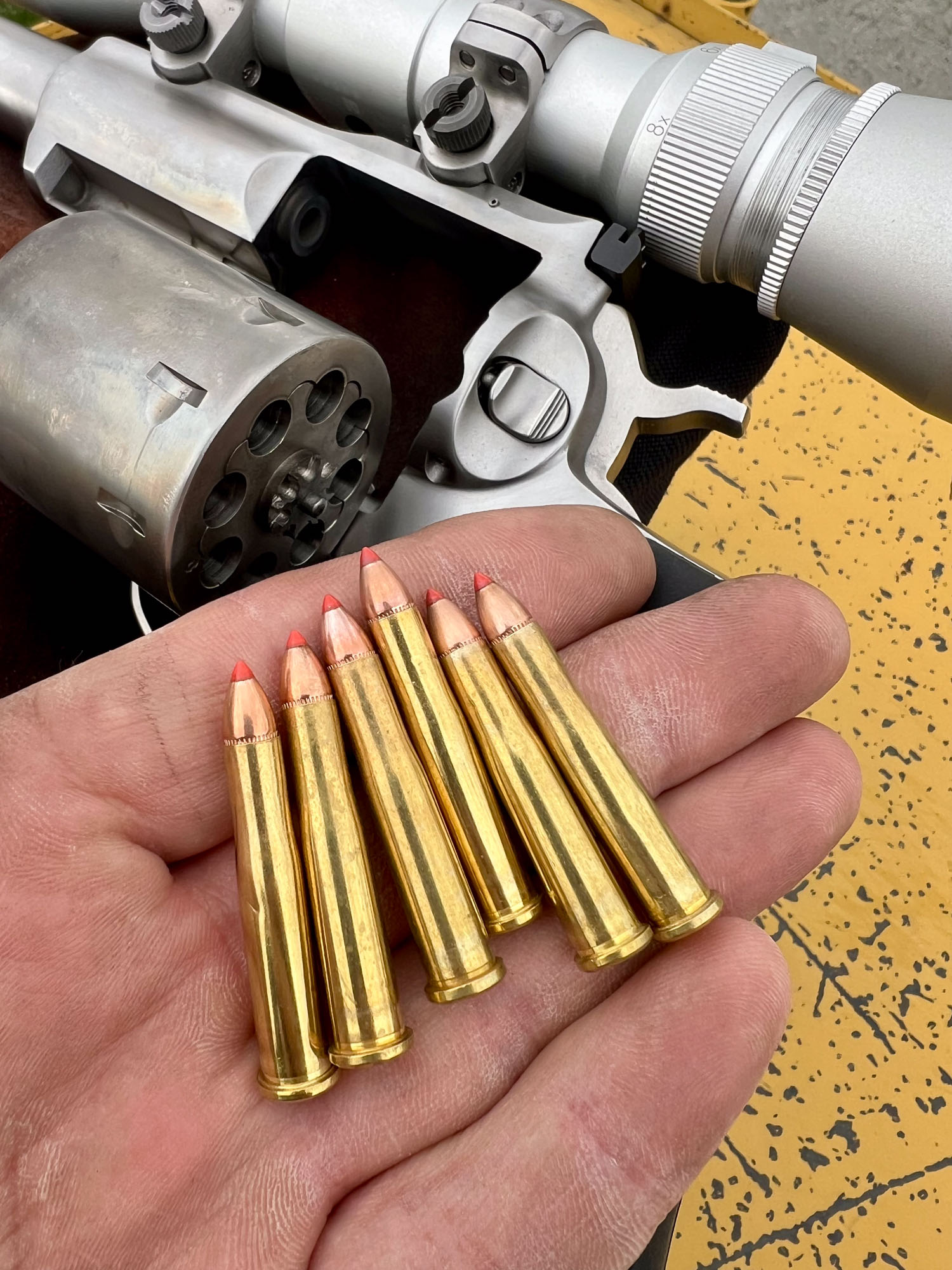22 Hornet rounds in hand